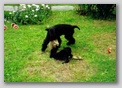 scan65.jpg:  gib her ! 