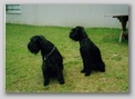 scan5.jpg:  Wer ist hier wer? (Aika links, Akira rechts) 
