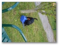 cimg2595.jpg: Ist das fr uns?