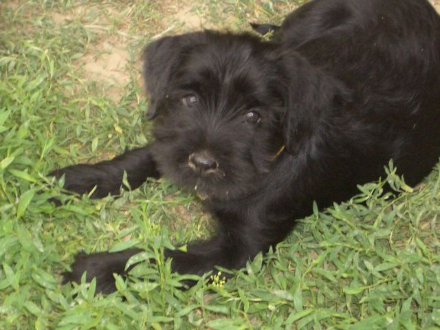 nixx