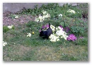 bild021.jpg: 