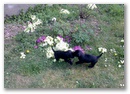 bild022.jpg: 