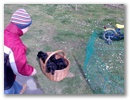 bild023.jpg: 