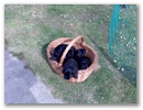 bild025.jpg: 