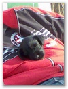 bild033.jpg: 