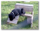 bild039.jpg: 