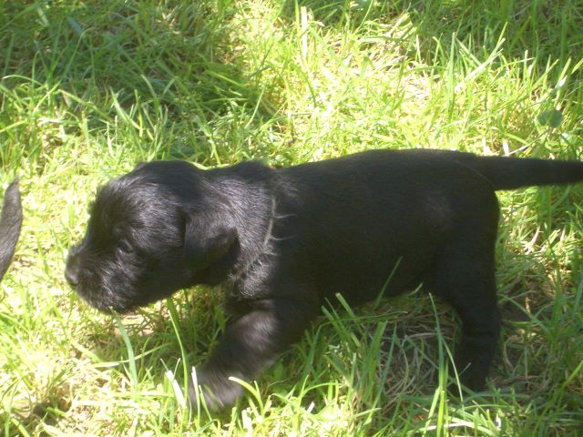 nixx
