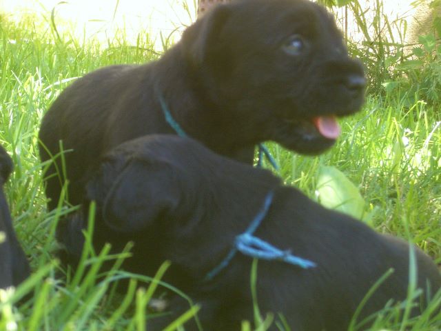 nixx