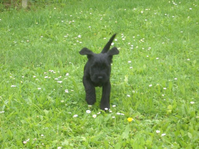 nixx