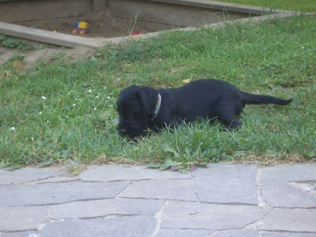 nixx