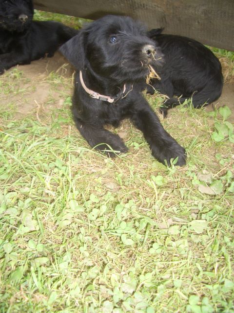 nixx