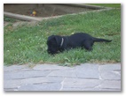cimg1090.jpg: 
