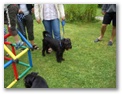 cimg3260.jpg: Bricka (Rufname Brixi),
fertig zum Aufbruch