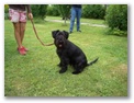 cimg3262.jpg: Akira - Noch ein letztes
mal stillsitzen frs Photo