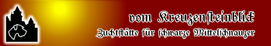 Zuchtstätte für schwarze Mittelschnauzer "vom Kreuzensteinblick"